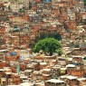 Favela